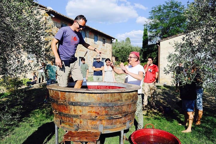 Discover Organic and Biodynamic Chianti Small Wineries — photo 1 of 12