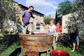 Discover Organic and Biodynamic Chianti Small Wineries