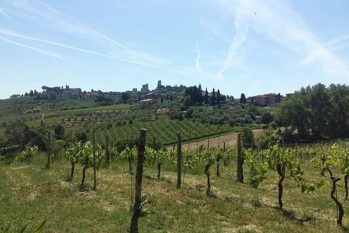 San Gimignano, Saffron and Vernaccia Wine from Florence — photo 1 of 12
