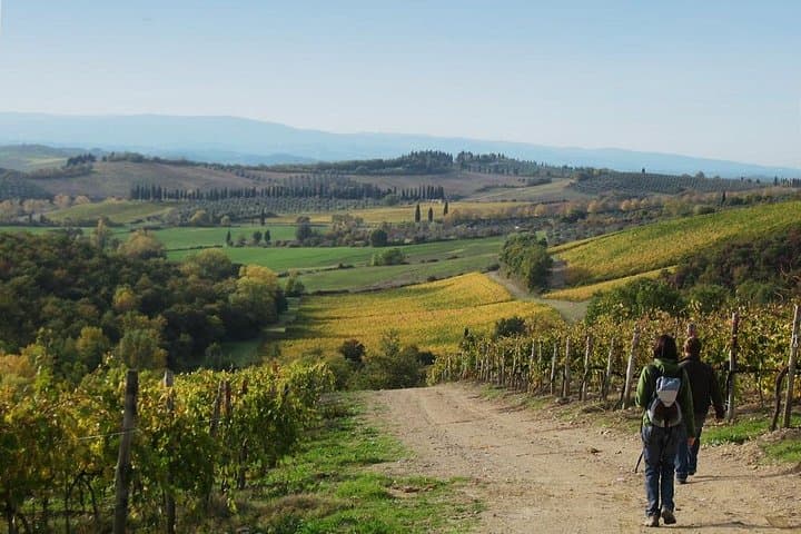 Private Tour: Guided Hike in Tuscany with Transport from Siena — photo 1 of 9