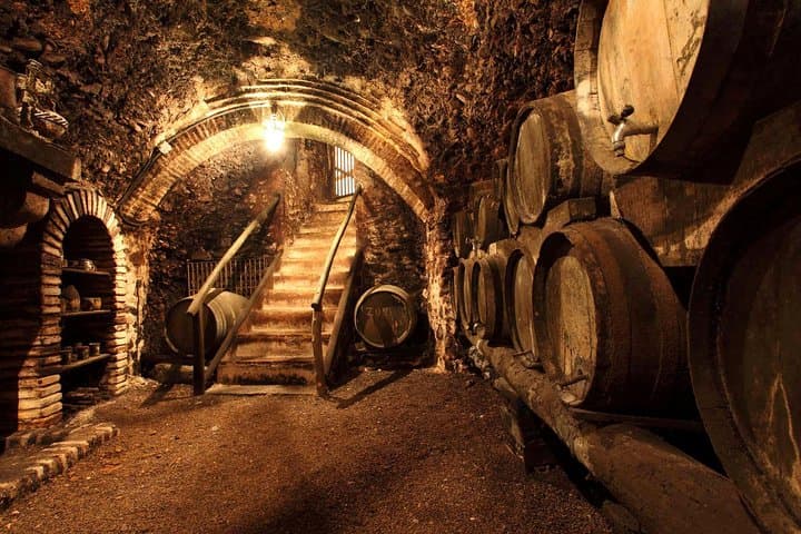 Wine and Cheese Tastings Southern Tuscany ShoreExcursion from Civitavecchia Port — photo 1 of 20