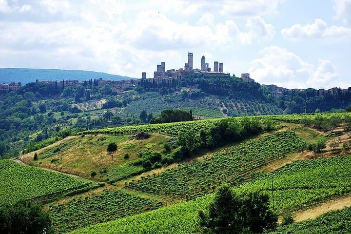 San Gimignano and Chianti Classico Wine and Food PRIVATE TOUR from SIENA — photo 1 of 24