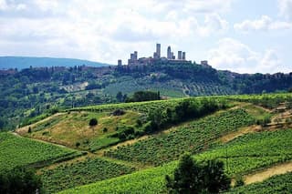 San Gimignano and Chianti Classico Wine and Food PRIVATE TOUR from SIENA
