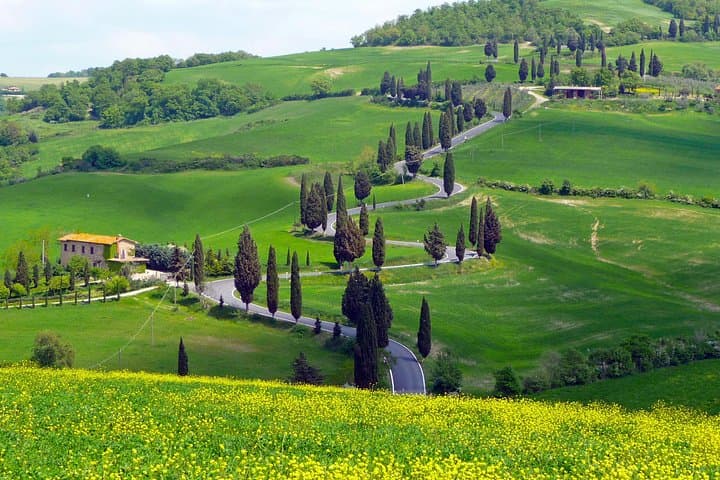 Pienza, Montalcino, Brunello Wine and Pecorino Cheese PRIVATE TOUR from FLORENCE — photo 1 of 28