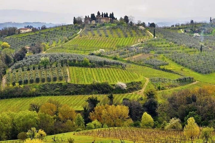 Private Tour Tastes of Tuscany: Pisa, Siena and Chianti — photo 1 of 7