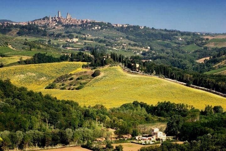 Full day tour Florence to Siena & Chianti — photo 1 of 10