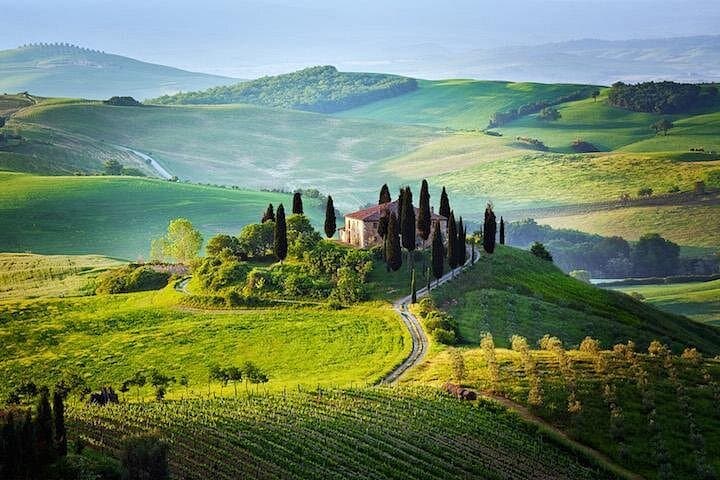 Half Day Chianti Wine Tour with Private Luxury Van — photo 1 of 15