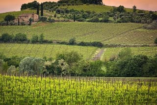 Private tour Brunello di Montalcino and Nobile di Montepulciano wine experience in Tuscany