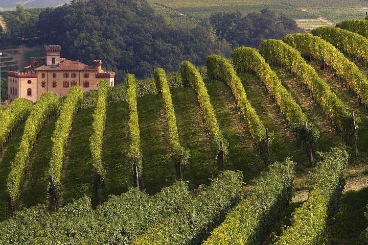 Private Tour: Barolo Wine Tasting in Langhe area from Torino — photo 1 of 13