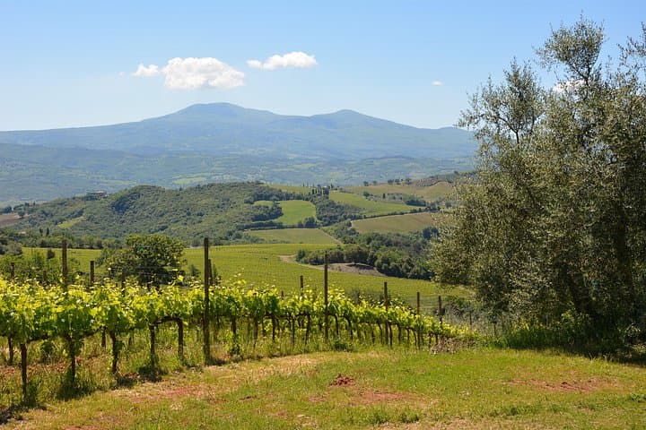 Elite Brunello di Montalcino wine tour w/3 wineries & lunch — photo 1 of 8