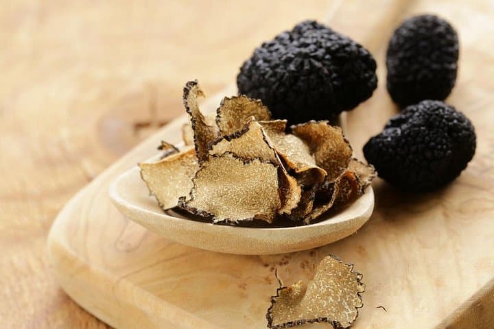 Tuscan Walk and Hunt for Truffles — photo 1 of 7