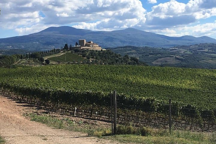 Brunello E-Bike Tour — photo 1 of 8