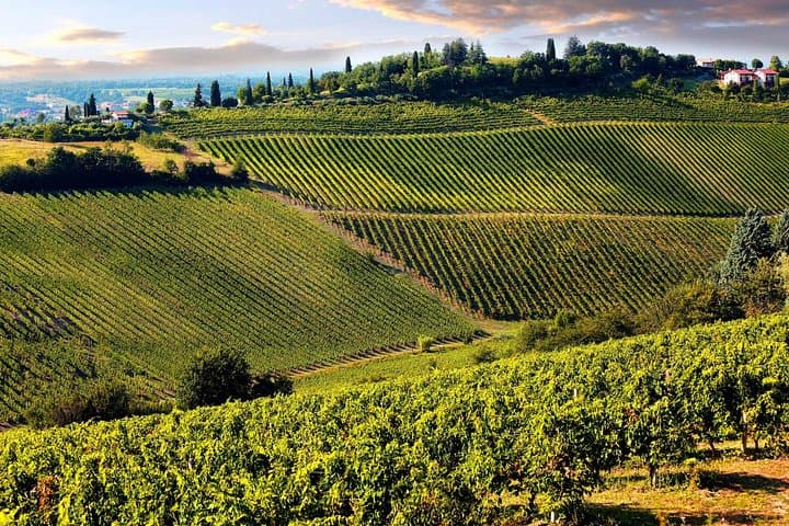 Chianti Half-Day Wine Tour in the Tuscan Hills Small Group from Lucca — photo 1 of 6