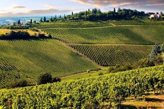 Chianti Half-Day Wine Tour in the Tuscan Hills Small Group from Lucca