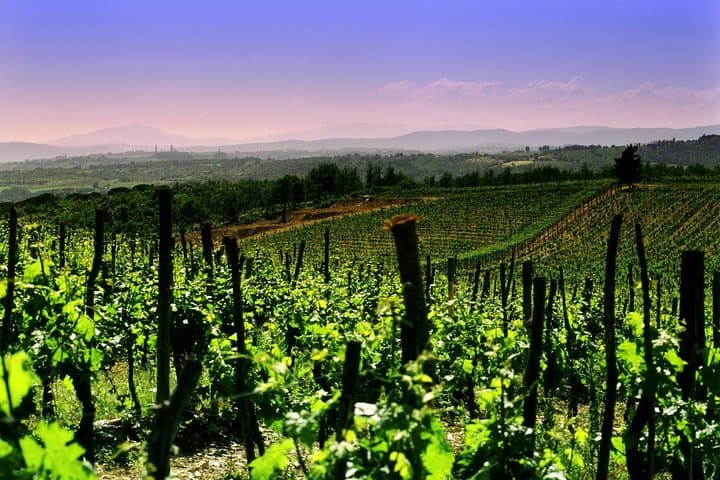 Private 8h Tour to winery in Franciacorta and Bergamo from Milan — photo 1 of 6