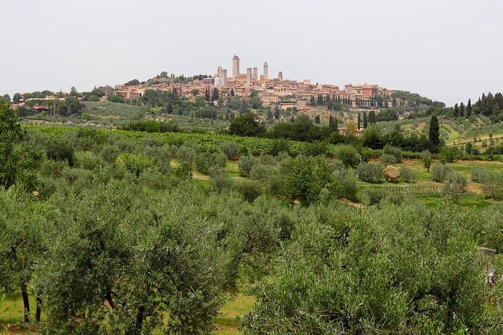 Private Tour to Siena and San Gimignano with Wine Tasting & Lunch — photo 1 of 15