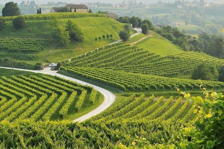 Venezia-Verona Amarone Tour — photo 1 of 6