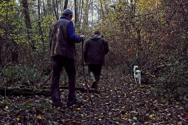 Truffle Hunting in Siena countryside — photo 1 of 8