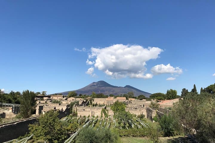 Pompeii Exclusive 2h Private Tour with your Archaeologist — photo 1 of 17