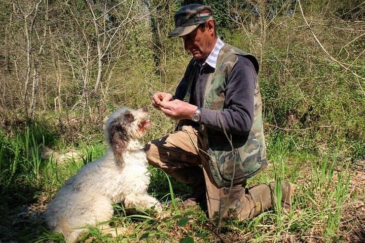 Private Truffle Hunting in Chianti from Florence — photo 1 of 12