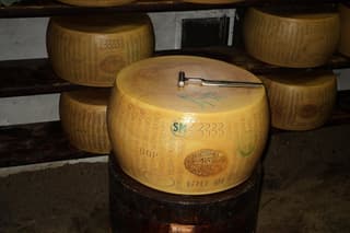 Discover Parma foods with Laura