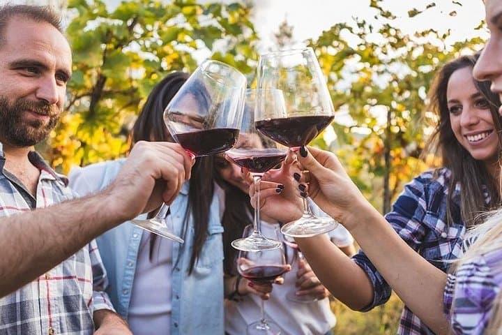 Private Chianti Tuscany Wine Tasting Tour from Florence — photo 1 of 5