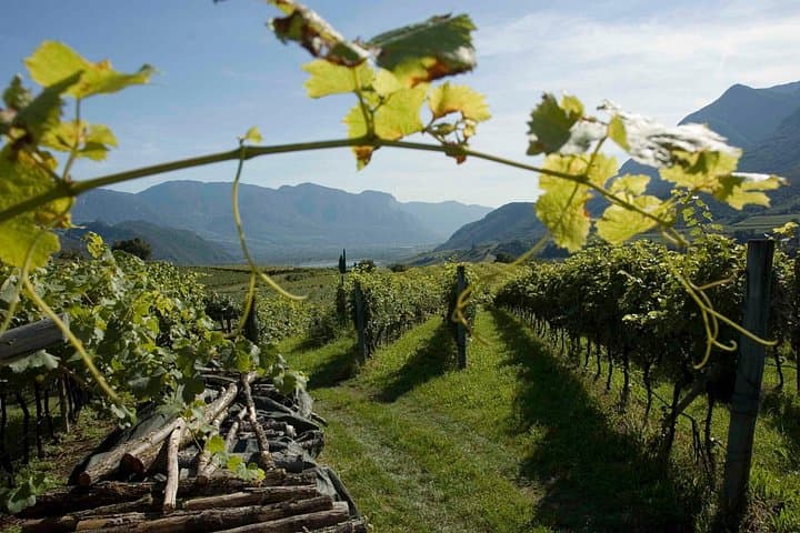 Amarone Wine Tour — photo 1 of 6