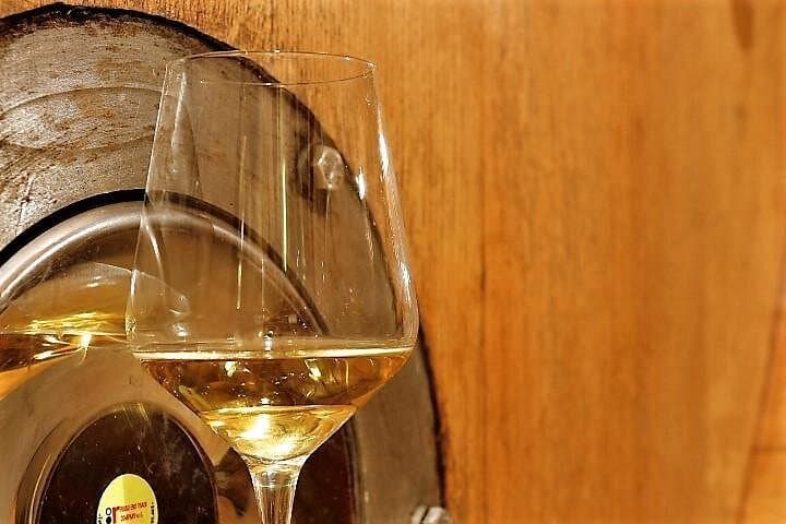 Half day Venice cruise terminal shore excursion wine food tasting outlet village — photo 1 of 10