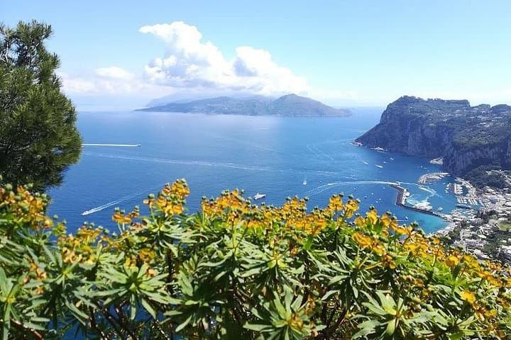 A special day in Capri - walking and boat tour — photo 1 of 8