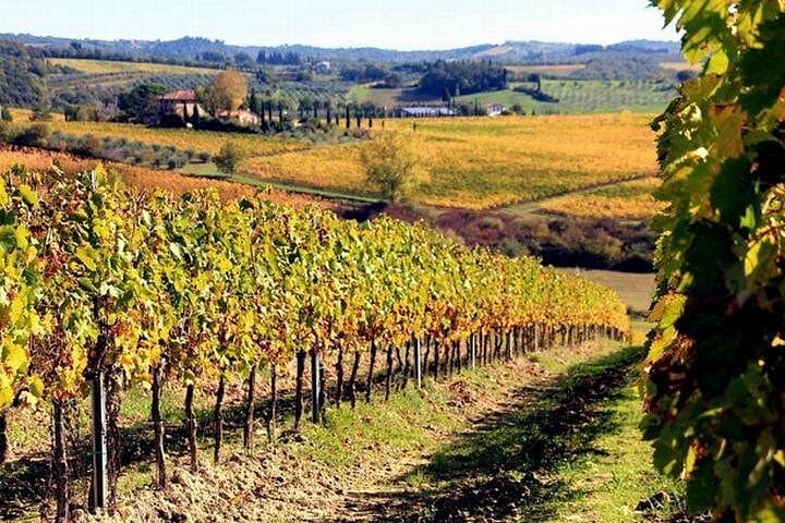 Private Chianti Wine Tour from Rome with Medieval Village Visit — photo 1 of 12