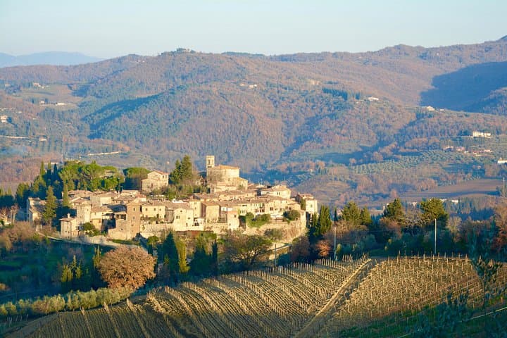 Private Tour: Chianti Region Tour by Minivan — photo 1 of 6