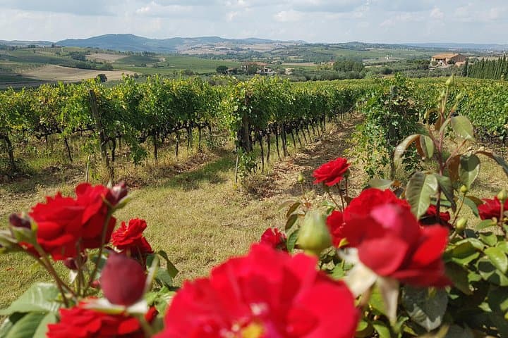 Private Tuscany Wine Tour: Montepulciano and Siena from Florence — photo 1 of 10