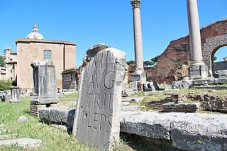 Guided Tour Coliseum Roman Forum Trevi Fountain & City Highlights