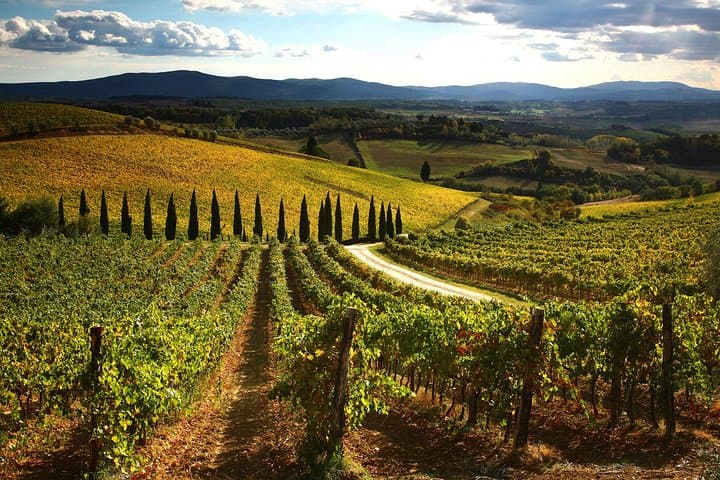 Small-Group Chianti Trip with Wine Tasting from Siena — photo 1 of 9