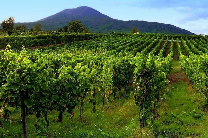 Tour of Sorrento Exploration+Wine Tasting with Lunch on Mt. Vesuvius (Full Day) — photo 1 of 12