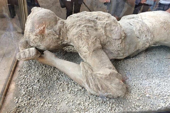 Skip the Line Private Pompeii Guided Tour — photo 1 of 9