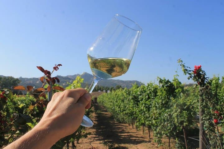 GRANITE & WINE OF GALLURA (North East Sardinia) — photo 1 of 21