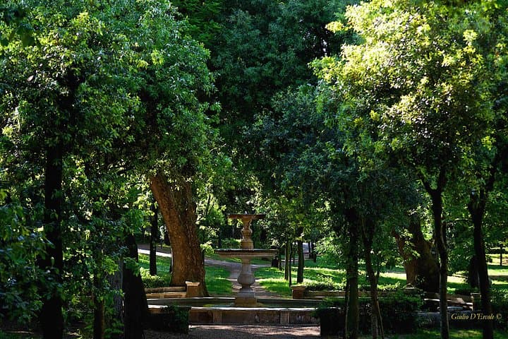 Villa Borghese and Posh Areas Unique Photo Tour and Workshop — photo 1 of 10