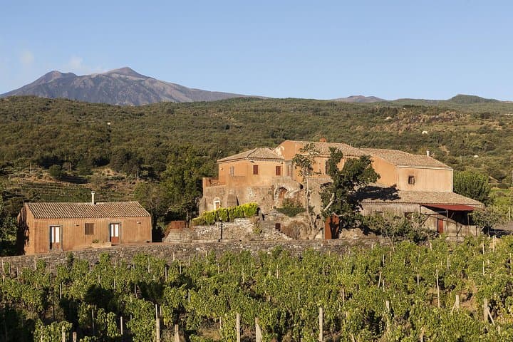 Private 6-Hour Tour of Three Etna Wineries with food&wine tasting — photo 1 of 42