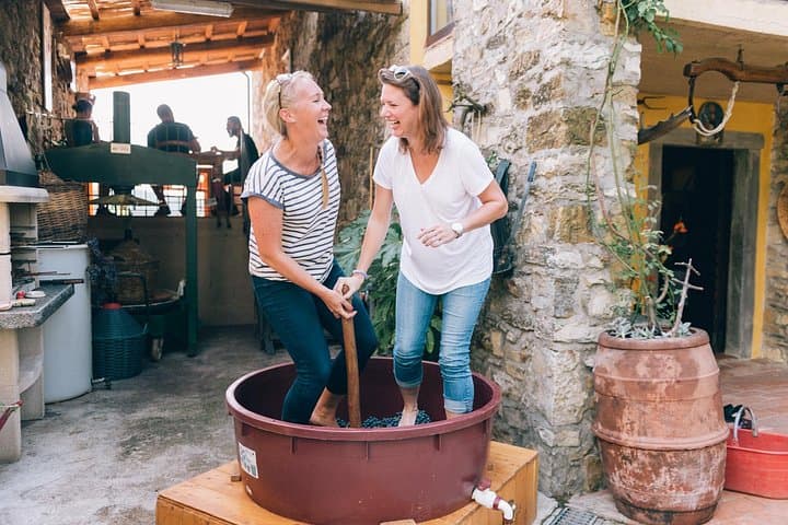 Private Grape stomping at Chianti Farmhouse — photo 1 of 12