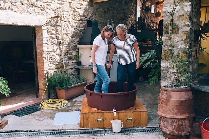 Private Grape stomping in Chianti from Siena — photo 1 of 15