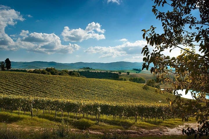 Private Montalcino and Pienza Tour from Florence — photo 1 of 11