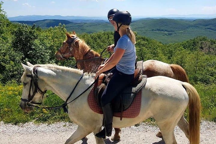 Half-Day Horseback Ride in Tuscany for beginner riders — photo 1 of 12