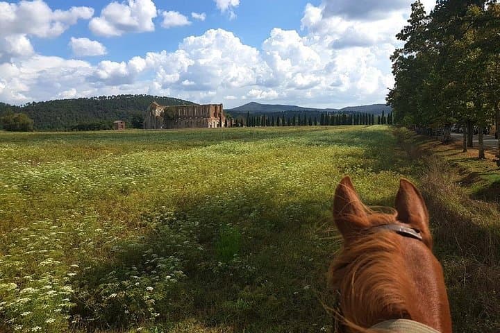 Horse Riding in Tuscany for Experienced Riders: Full-day Trail Ride — photo 1 of 18