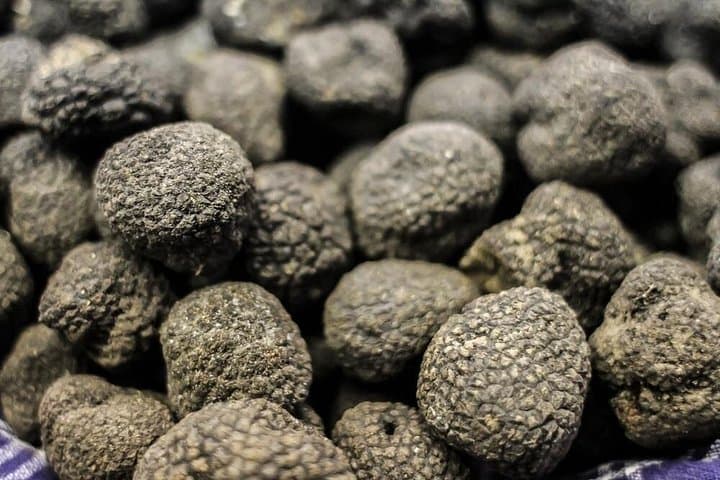 Private Truffle Hunting in Chianti — photo 1 of 16