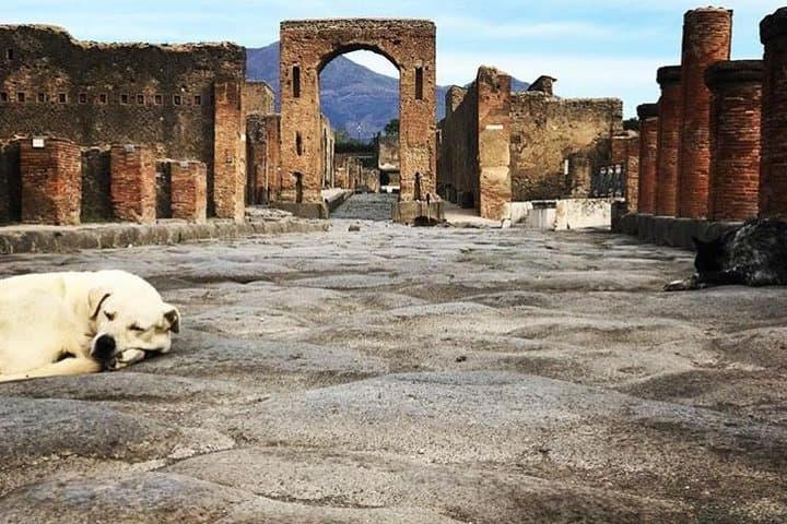 Pompeii Private Tour with Expert Guide — photo 1 of 29