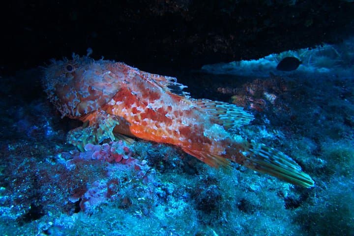 Etna & Diving Jeep Tour — photo 1 of 8