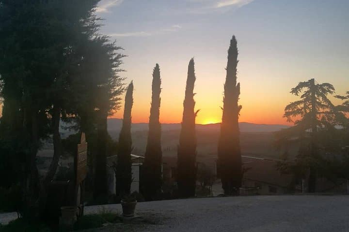 Brunello Wine Tour and Val D'Orcia Landscape — photo 1 of 8