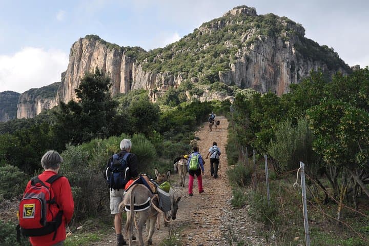 DISCOVER THE SARDINIA, THE WAYS OF TRANSHUMANCES with ANES — photo 1 of 7