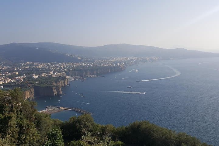 Private day tour to Pompei ,winery, Sorrento from Napoli/Salerno/Amalfi/Positano — photo 1 of 9